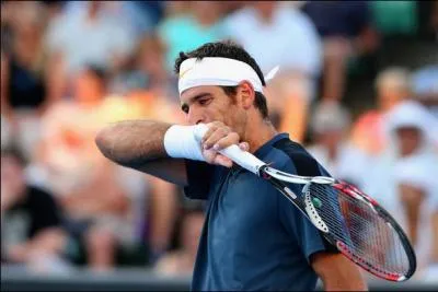 Juan Martin Del Potro est actuellement class 6me joueur mondial. Avant l'US Open 2013, l'argentin s'est impos une seule fois  Flushing Meadows, en...