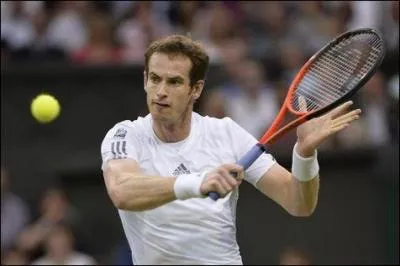 Le colrique cossais, Andy Murray (dit  Angry Murray ), a remport ses deux premiers Grands Chelems tout rcemment lors du dernier US Open et du dernier Wimbledon,  chaque fois face  Djokovic. Le dernier titre remport par un Britannique dans le tournoi londonien datait de...