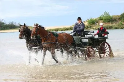 Quelle est cette discipline ?