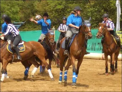 Quelle est cette discipline ?