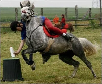 Quelle est cette discipline ?