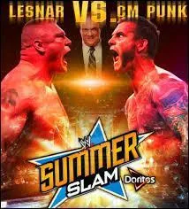 No Holds Barred Match : CM Punk vs Brock Lesnar. Qui est le vainqueur ?