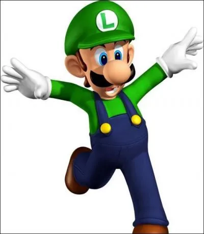 Quel est le seul jeu ou luigi est le hros ?
