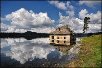 Grce  la photo, terminez ce proverbe franais : Chacun en sa beaut ...