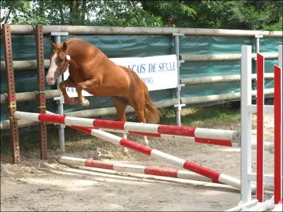 On peut monter un poney  partir de l'ge de :