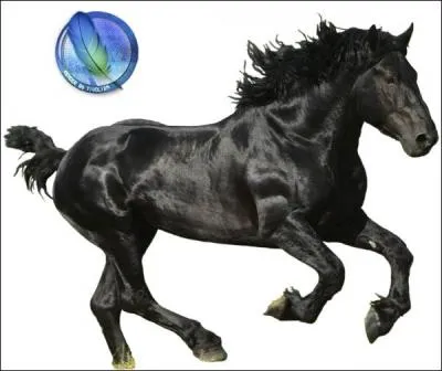  quoi servent les Galops 8 et 9 ?