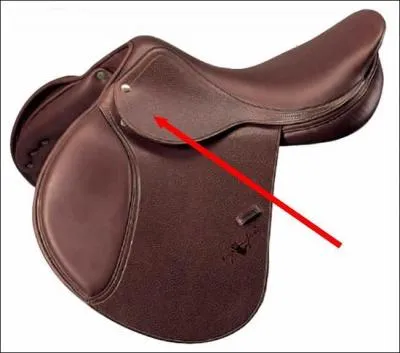 Comment s'appelle cette partie de la selle ?