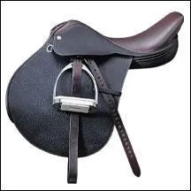 Quel est le nom de cette selle ?