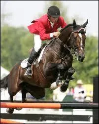 Comment s'appelle ce champion de C. S. O, KWPN mort en 2005 ?