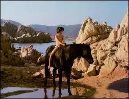 Comment s'appelle ce cheval de film ?