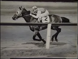 Comment s'appelle ce cheval de course ?