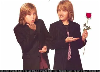 Qui tient la rose rouge dans la main ?