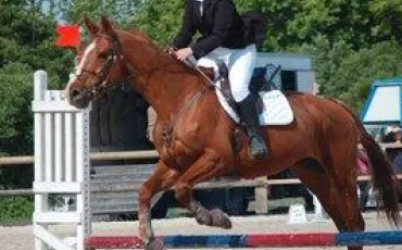 Quiz Galop 3