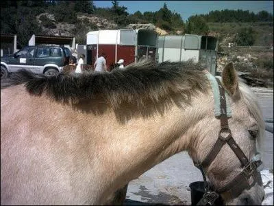 Comment s'appelle le creux qu'il y a entre les deux joues ?