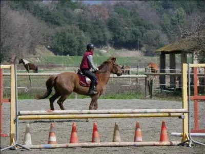 Quand on trotte  main gauche et qu'on veut vrifier qu'on trotte sur le bon diagonale que faut-il vrifier ?