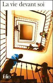 Qui est l'auteur de  La vie devant soi  ?