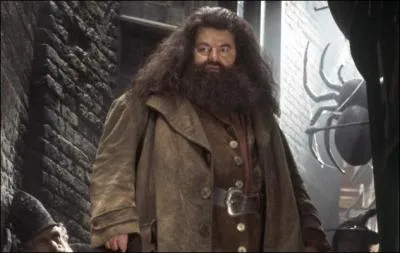 Hagrid est ...