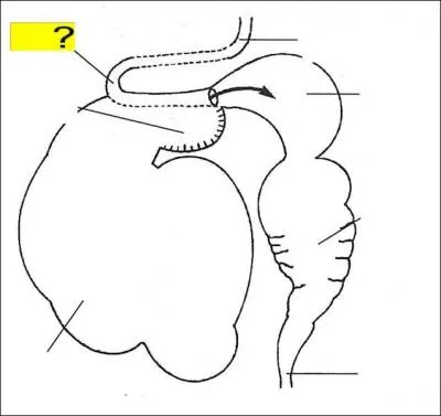 Quel est l'lment de la lgende marqu en jaune ?