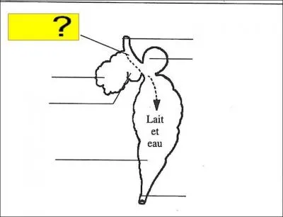 Quel est l'lment de la lgende marqu en jaune ?