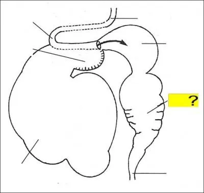 Quel est l'lment de la lgende marqu en jaune ?