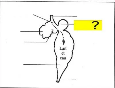 Quel est l'lment de la lgende marqu en jaune ?