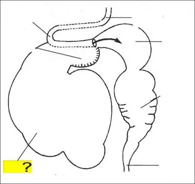 Quel est l'lment de la lgende marqu en jaune ?