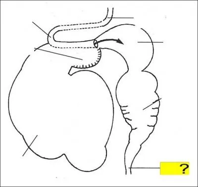Quel est l'lment de la lgende marqu en jaune ?
