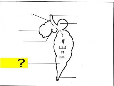 Quel est l'lment de la lgende marqu en jaune ?