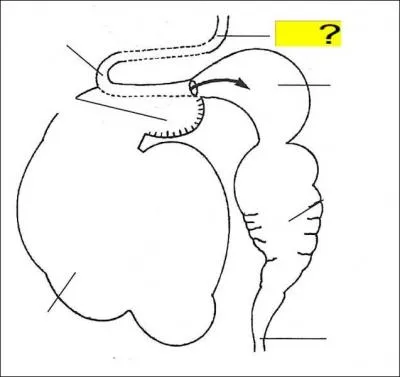 Quel est l'lment de la lgende marqu en jaune ?