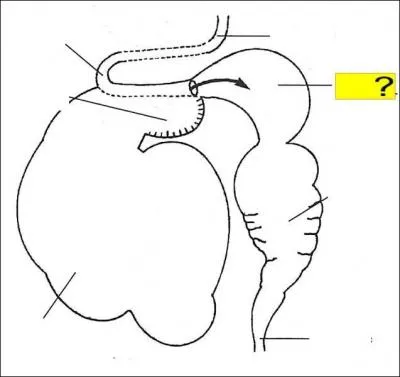 Quel est l'lment de la lgende marqu en jaune ?