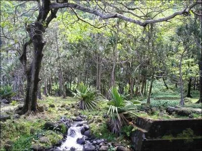 Comment s'appelle cet endroit ?