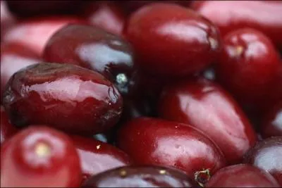 Ce sont des drupes rouges, de la taille et de la forme d'une olive dont la saveur est acidulée. Elles peuvent être consommées fraîches, ou entrer dans la préparation de marmelades et de boissons alcoolisées. Ce sont les :