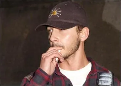 J'interprte Louis Stevens dans la srie 'La guerre des Stevens'. Mais je tiens aussi l'un des rles principaux dans les films 'Transformers' et 'Indiana Jones et le Royaume du crne de cristal'. Je suis...