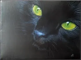 Quel chat domestique dsagrable rencontrent-ils ?