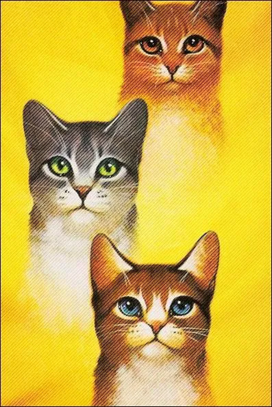 Quels chats vont faire partie du clan ?