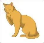 Quel est le nom de guerrire de Nuage d'Or ?