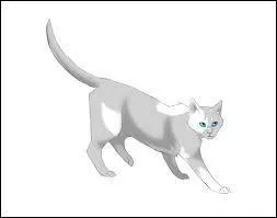 Qui toile de Feu voit-il dans ses visions ?