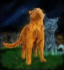 Que dit toile Bleue  toile de Feu  la Pierre de Lune [2 rponses] ?