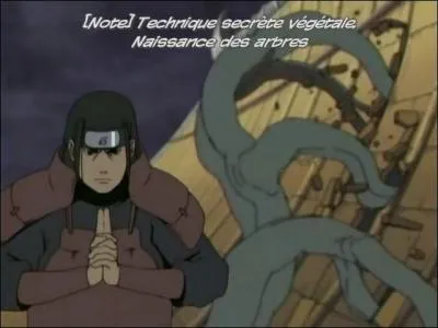 Comment s'appelle cette technique?