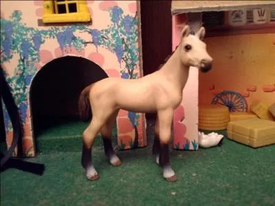  quel poulain avons-nous affaire sur cette image ?