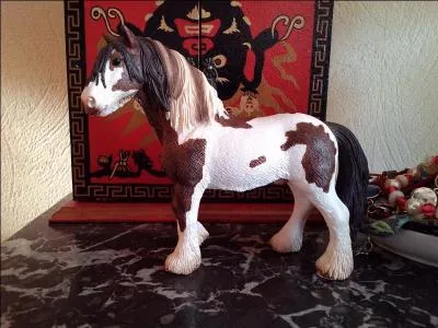 Quel est ce magnifique cheval ?