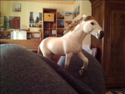 De quel cheval s'agit-il ?