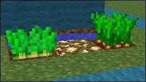 Quel aliment ne trouve-t-on pas dans Minecraft ?