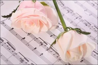 Qui voulait changer le monde, changer les choses avec des bouquets de roses ?