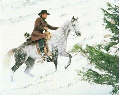 Quel est le titre de ce film ?