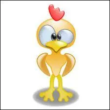 Je ne suis pas l'ingrdient principal de cette salade, mais je l'agrmente parfaitement :