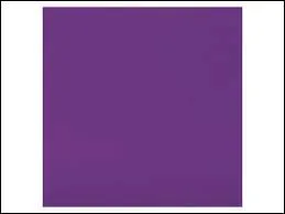 Comment dit-on violet en anglais ?