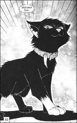 Maintenant, un autre chat sanguinaire avec un pass plein de souffrance :