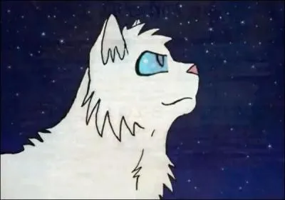 Et voici son compagnon :