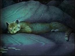 Et maintenant une jeune gurisseuse trs prometteuse :